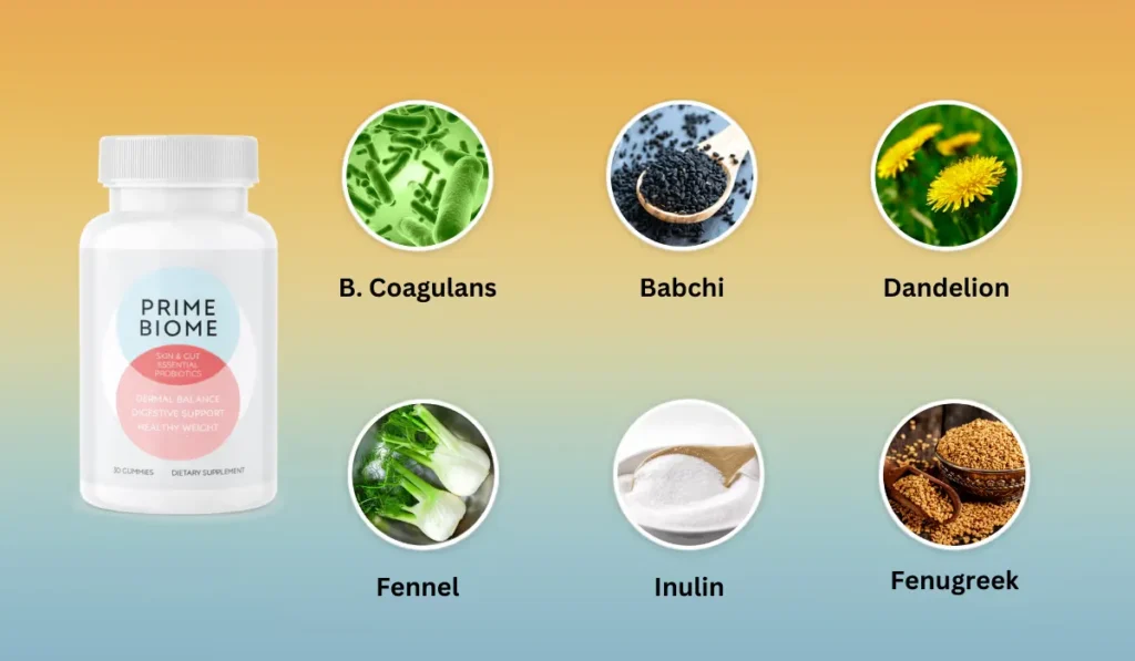 Prime Biome